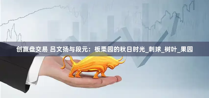创赢盘交易 吕文扬与段元：板栗园的秋日时光_刺球_树叶_果园