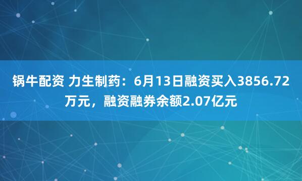锅牛配资 力生制药：6月13日融资买入3856.72万元，融资融券余额2.07亿元